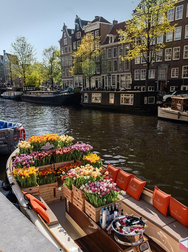 Amsterdam: Private Transfers from Schiphol Airport (AMS) and Back?