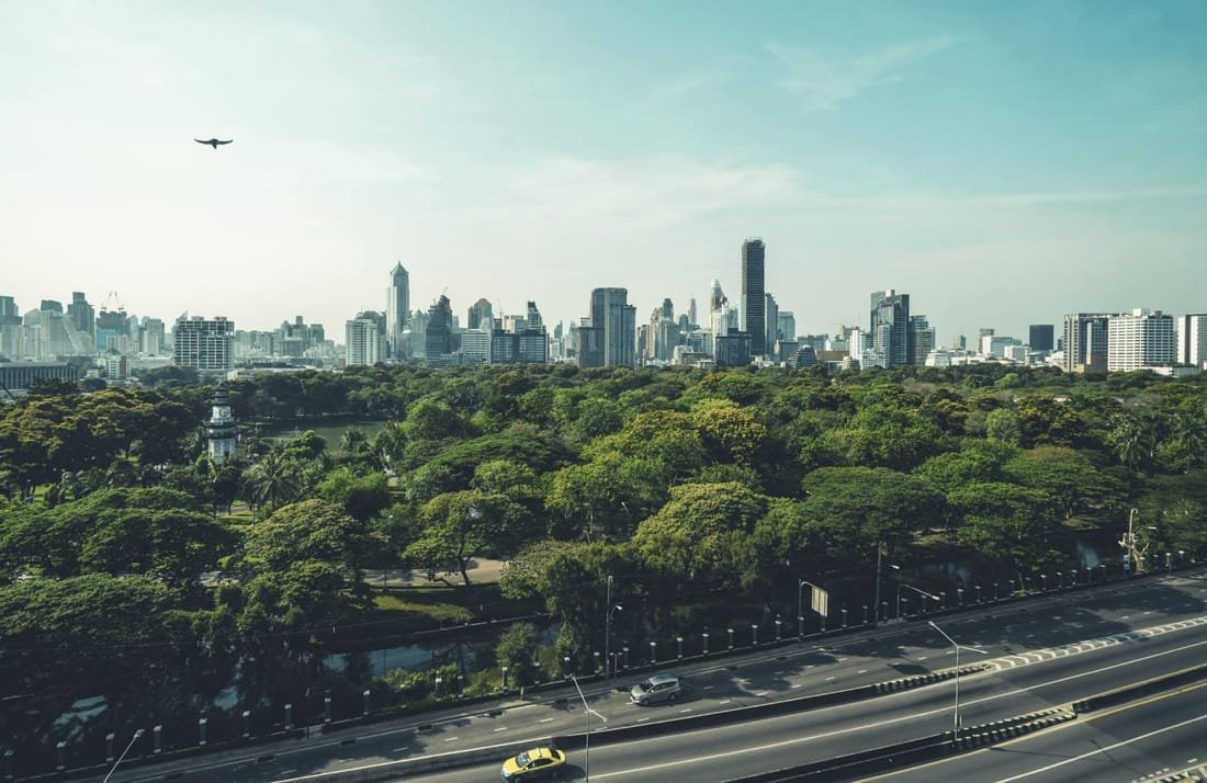 Scopri di più sull'articolo Apps to track and offset your carbon footprint