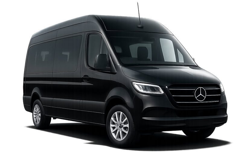 transfer lamezia tropea capo vaticano mercedes sprinter vip minibus